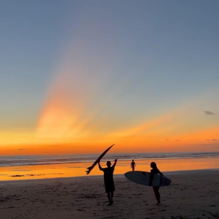 Surfers on the beach at sunset